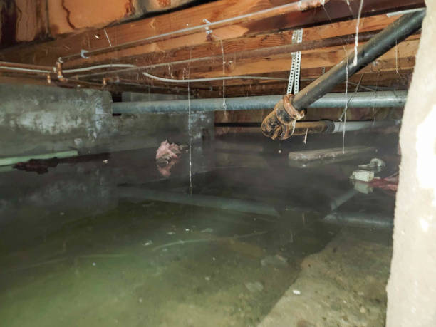 Best Ceiling water damage repair  in Pineville, NC