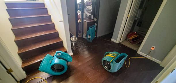 Best Mold removal after water damage  in Pineville, NC