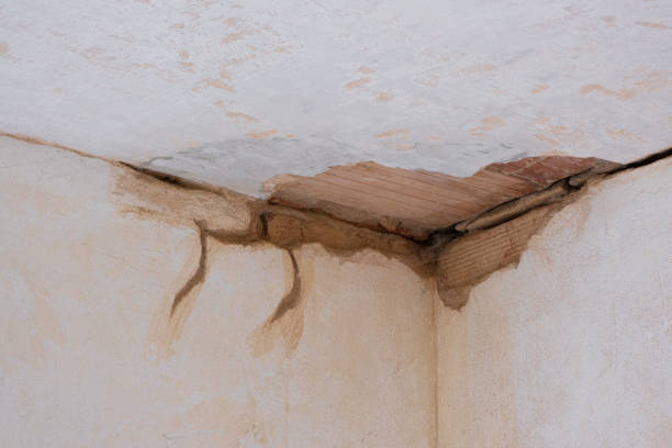 Best Professional water damage repair  in Pineville, NC