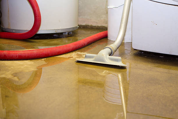 Best Residential water damage restoration  in Pineville, NC